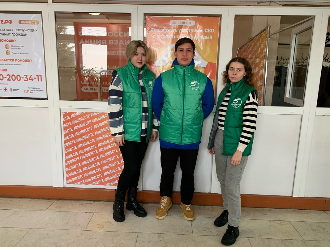 Описание изображения